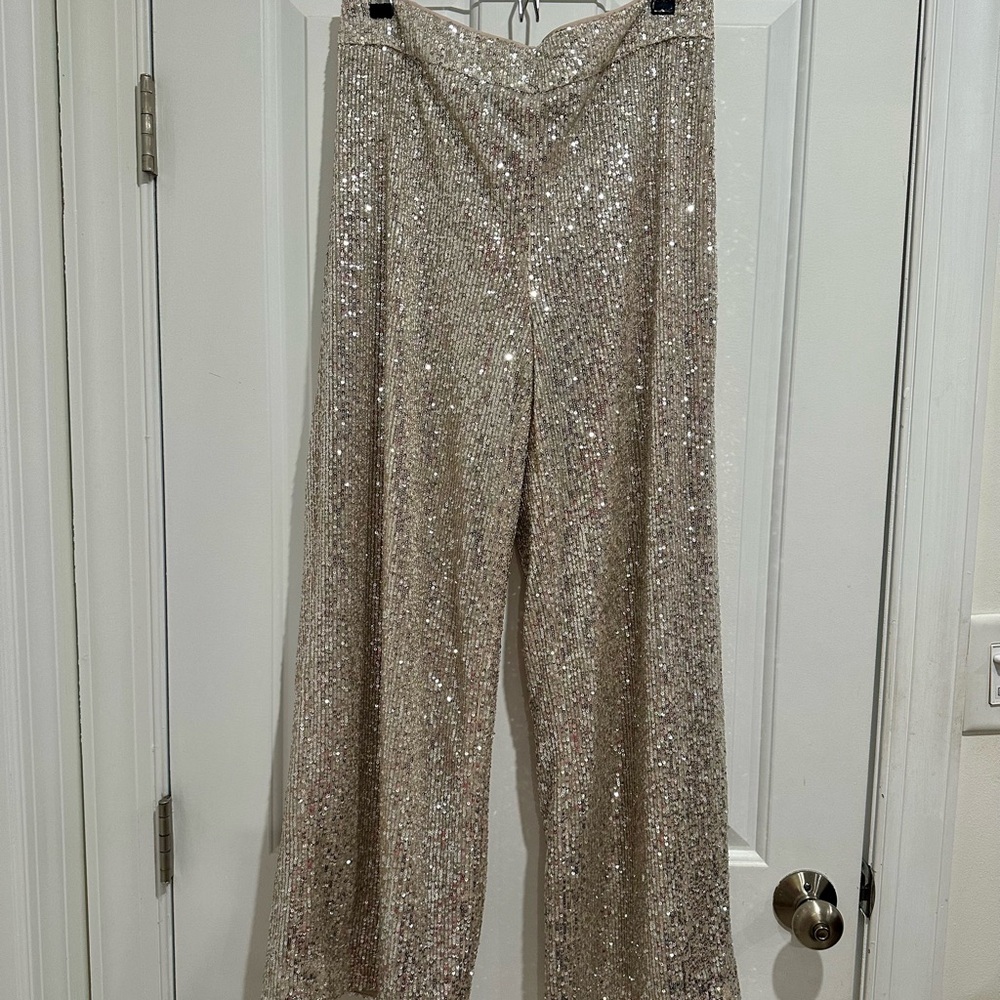 Banana republic Champagne Silver Sequin wide leg pants